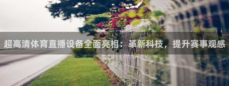 雨燕360体育免费直播app：超高清体育直播设备全面亮相：革新科技，提升赛事观感