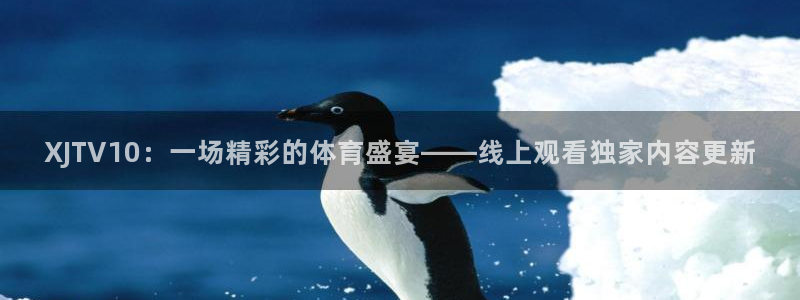 雨燕360体育直播：XJTV10：一场精彩的体育盛宴——线上观看独家内容更新