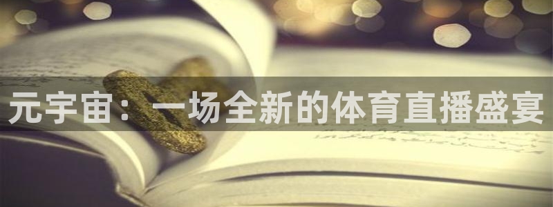 雨燕360体育直播篮球直播：元宇宙：一场全新的体育直播盛宴