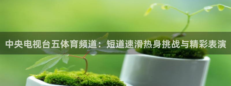 雨燕360直播nba高清：中央电视台五体育频道：短道速滑热身挑战与精彩表演