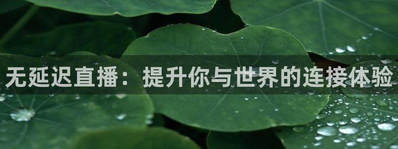 雨燕360体育nba直播：无延迟直播：提升你与世界的连接体验