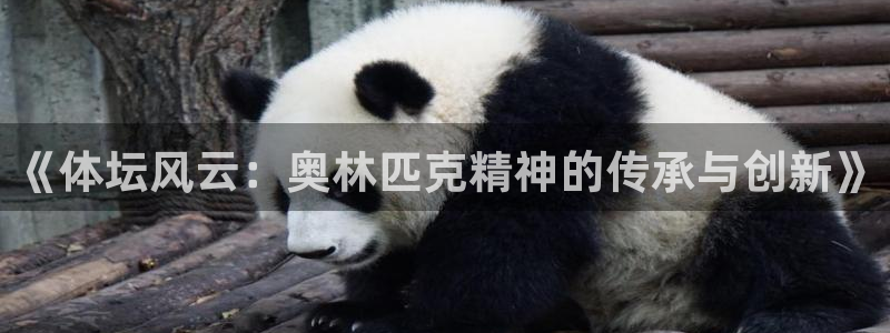 雨燕360直播免费观看nba：《体坛风云：奥林匹克精神的传承与创新》