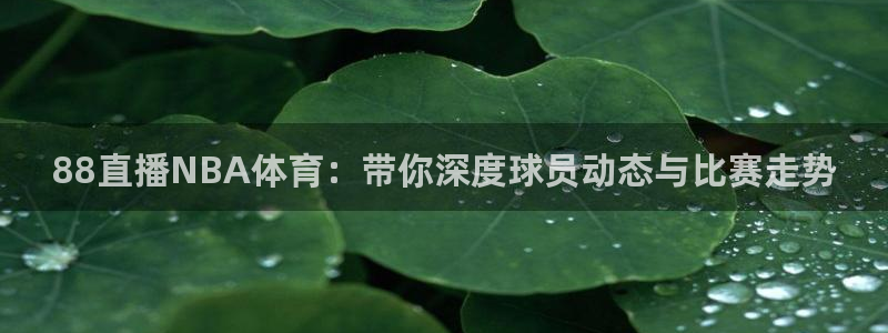 雨燕360体育在线直播手机版：88直播NBA体育：带你深度球员动态与比赛走势